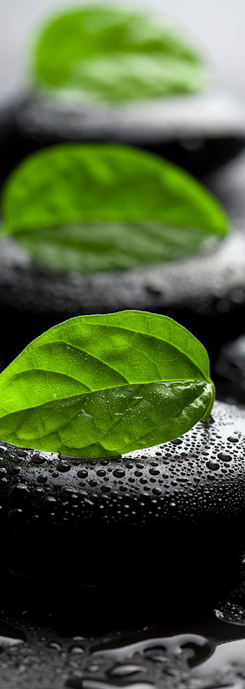 acupuncture hertfordshire oriental body